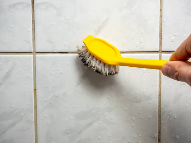 Best Water Damage Restoration  in Jefferson, WI
